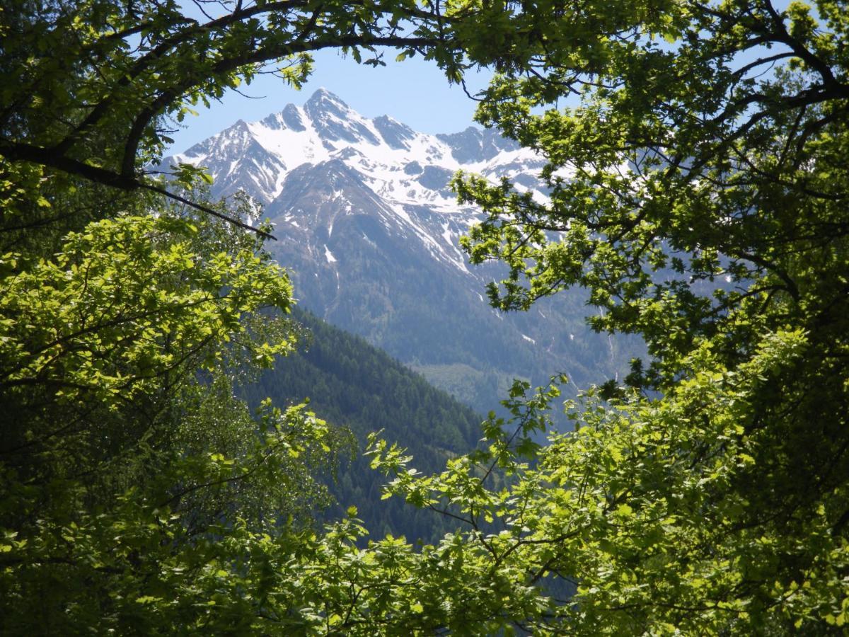Appart Burgwies Ink Nationalpark Sommercard 斯塔费顿 外观 照片